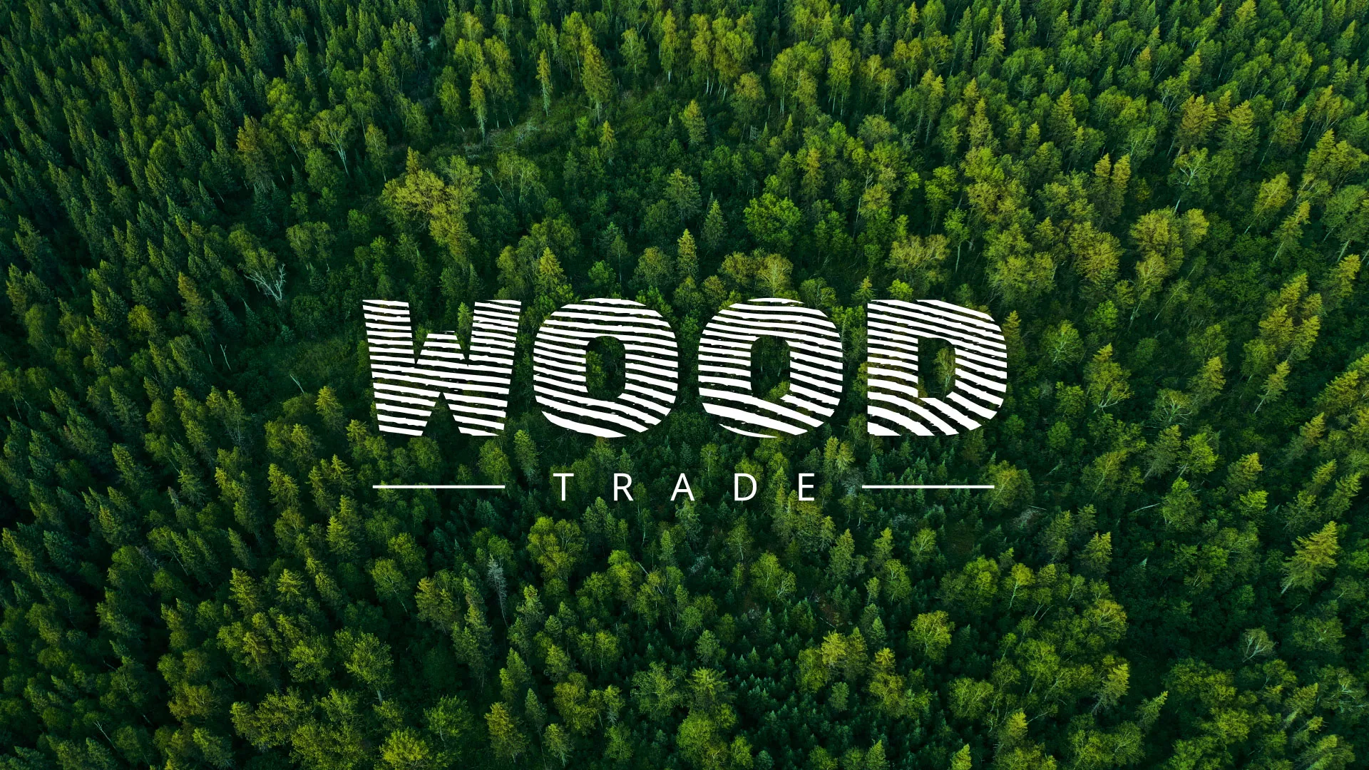 Разработка интернет-магазина компании «Wood Trade» в Котельниково